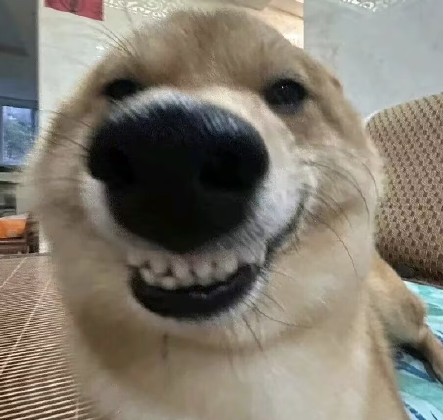 爸爸丢我求购
