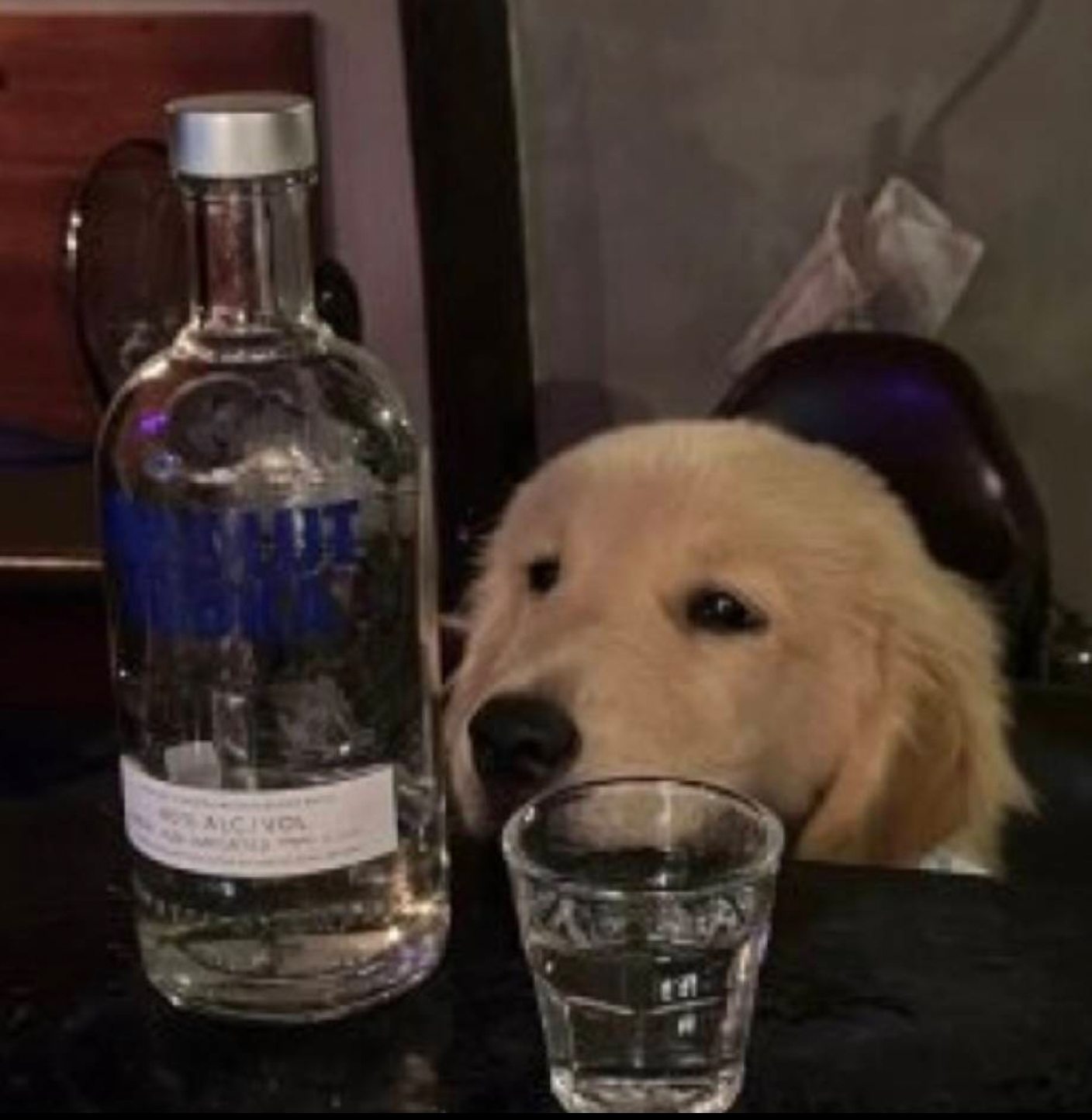 摆烂的征