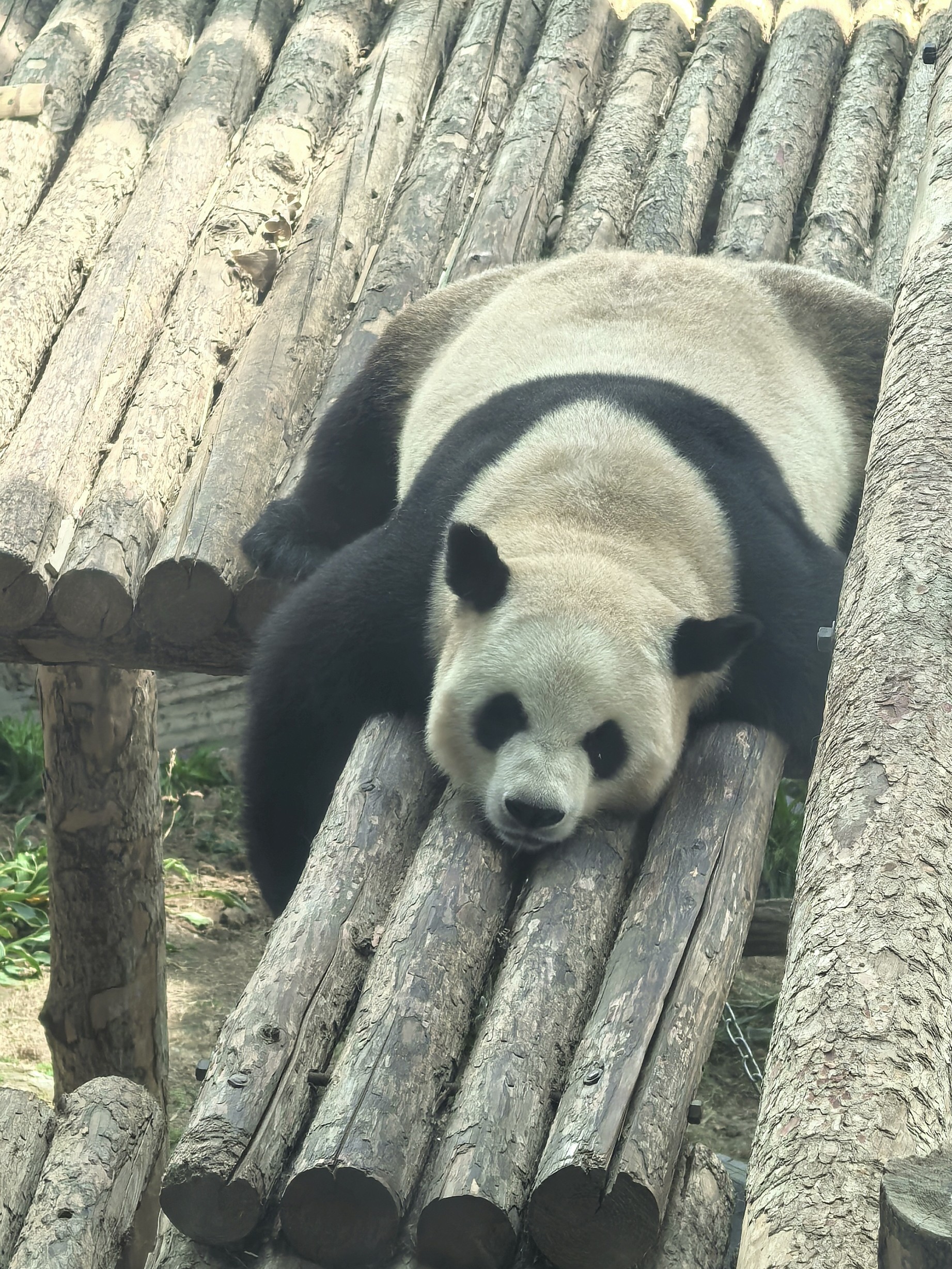 徐骁骁精品收藏库存