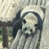 徐骁骁精品收藏库存