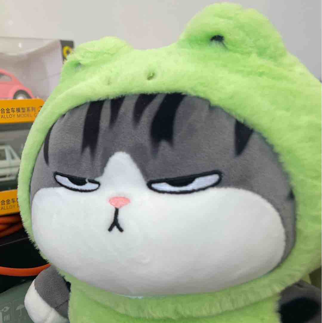 我的宝子小趴菜