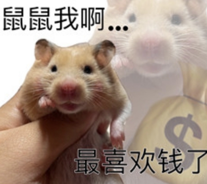 跑打糕手