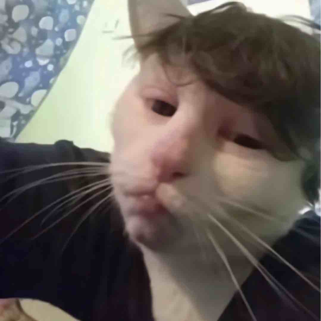 我是大学生买我的