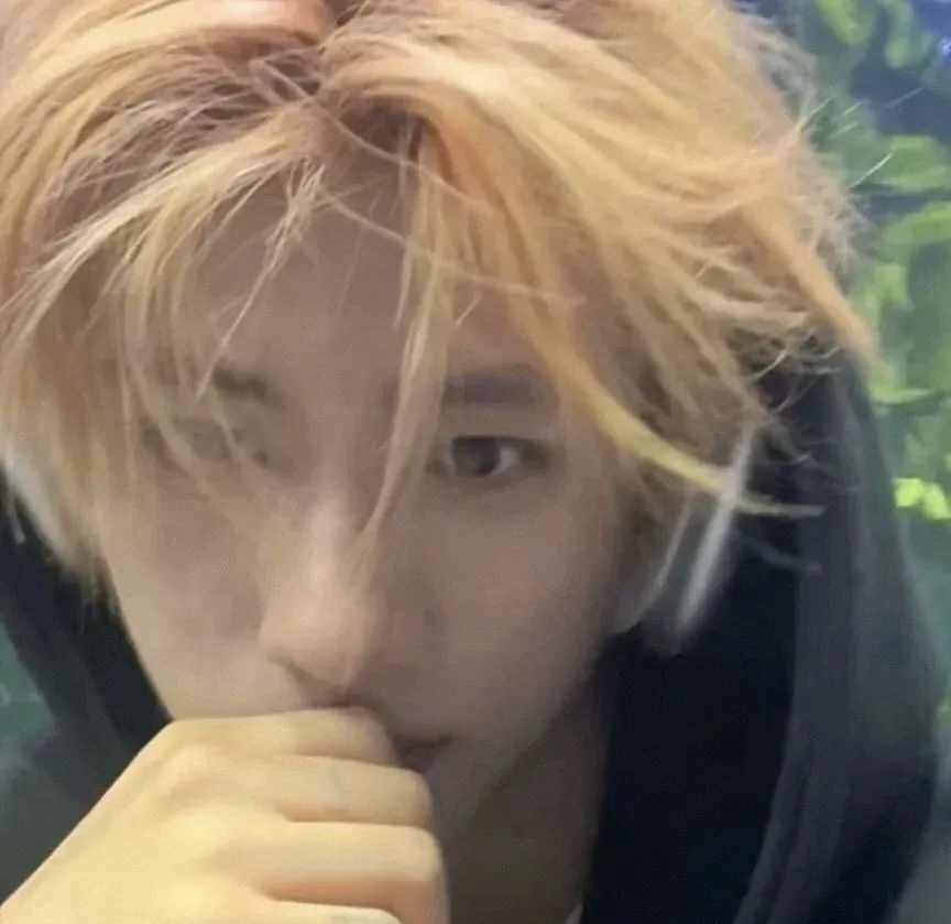 这花本是给他的