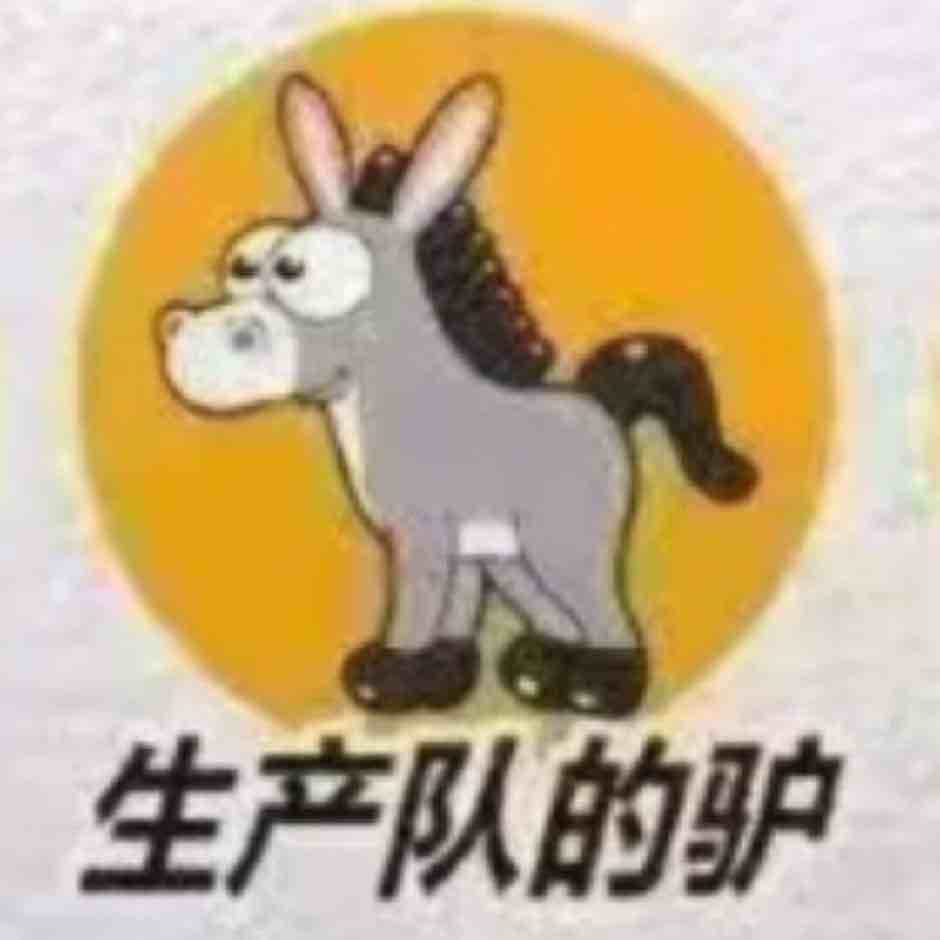 生产队有老人味的30赵睿驴