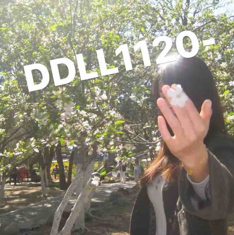 DDLL1120-