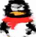他她它