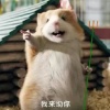黄风大圣