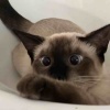 宝宝看这里