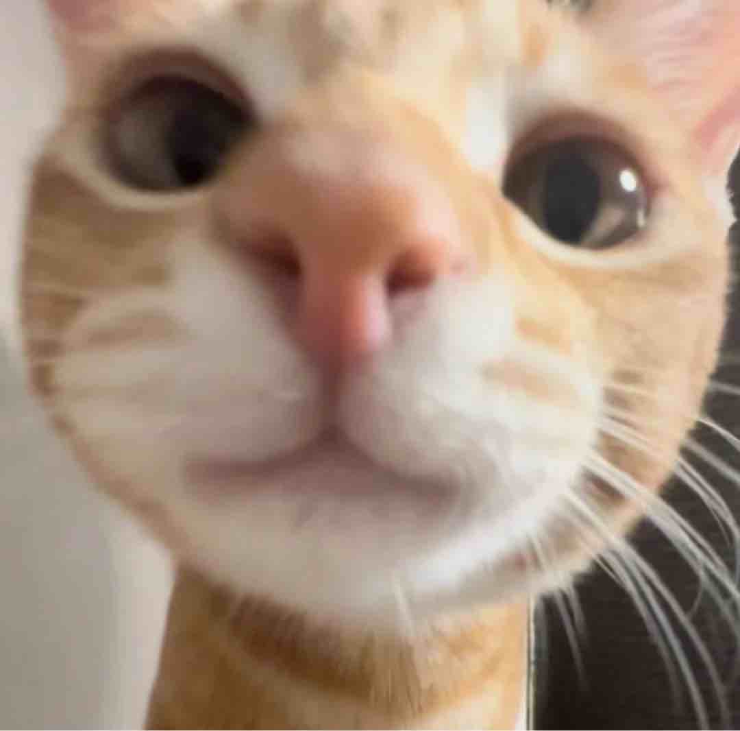 玩家1385098763682967552