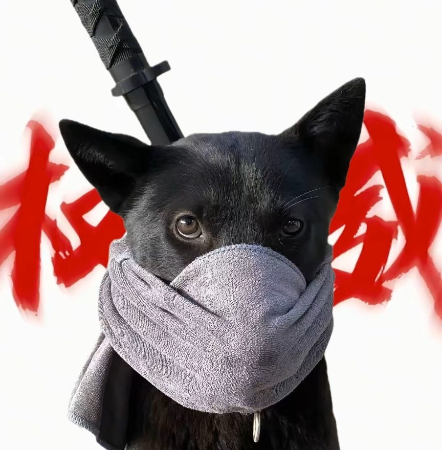 玩家1210753224260386816