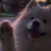 玩家1376117052741558272
