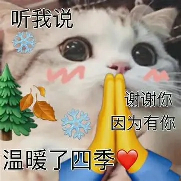 选择大于努力