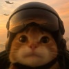 NDBDA_