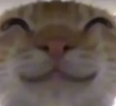 玩家1381562364373807104