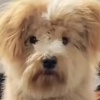 岁寒杂货铺