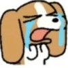 发货给我的开箱都能出金