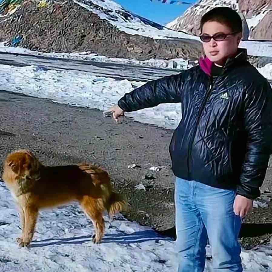 秒发不卡