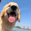 超级无敌947