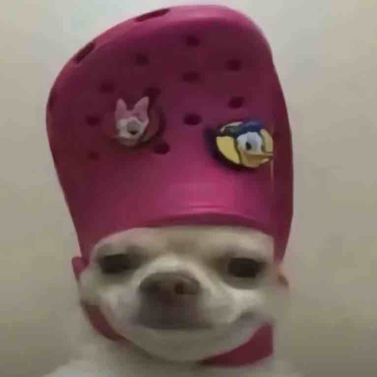 玩家1219607566935601152