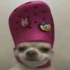 玩家1219607566935601152