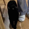 中就疯狂充