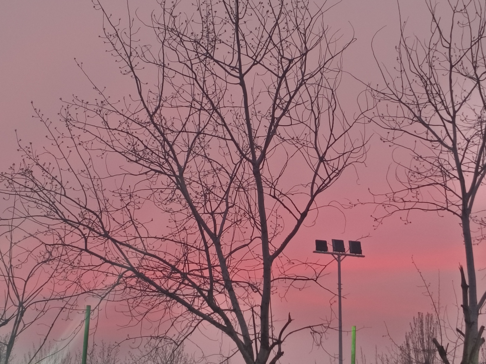 玩家1297205457858596864