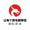 浙江雕毛资本
