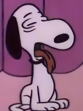 秒发兄弟