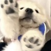 十九电话粥7u5