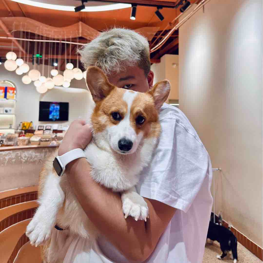 牛杂小卖部