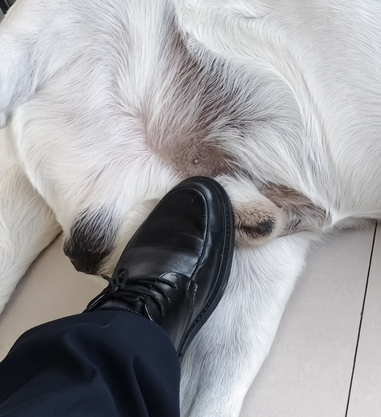 Zzzz