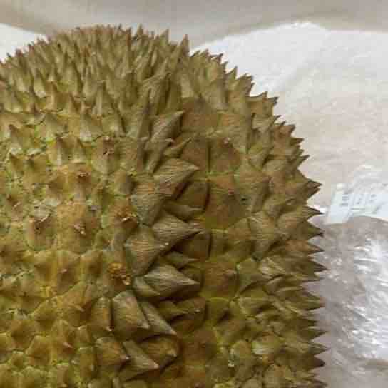 不要和我比低价