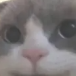 84861407320233114
