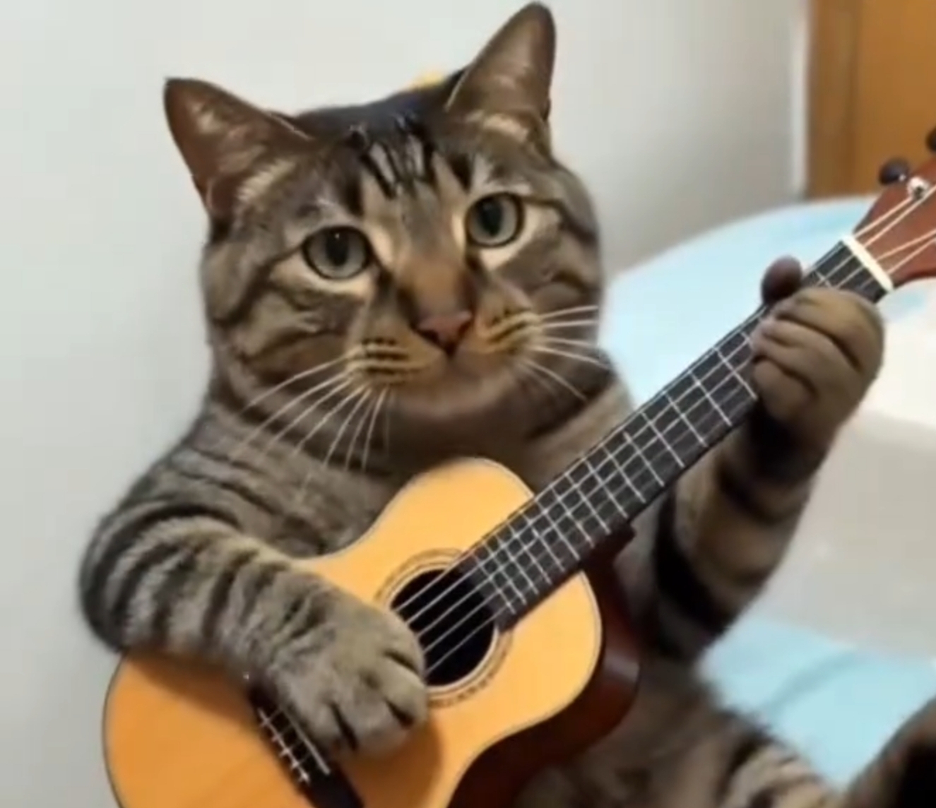 求求你让我接盘吧www