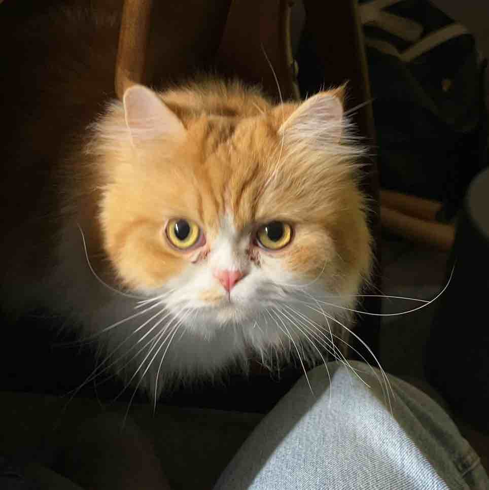 我再也不倒货了