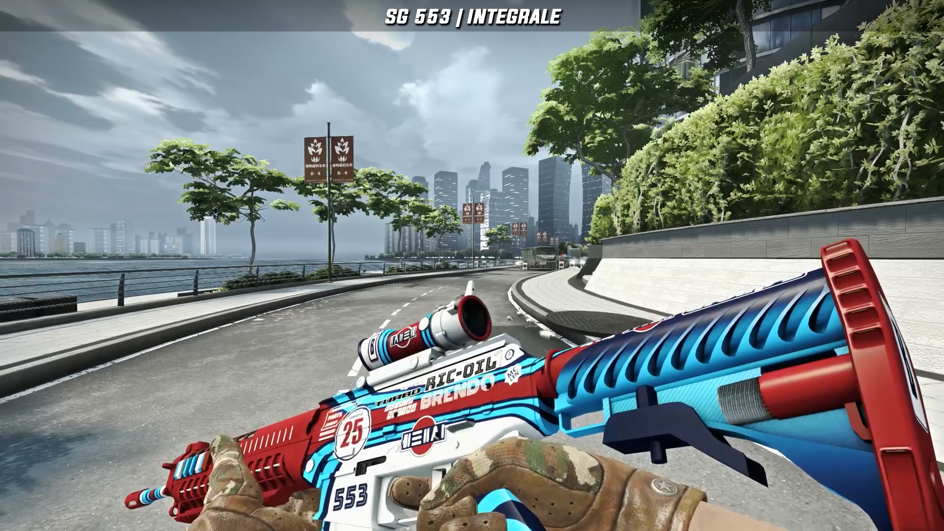 sg553