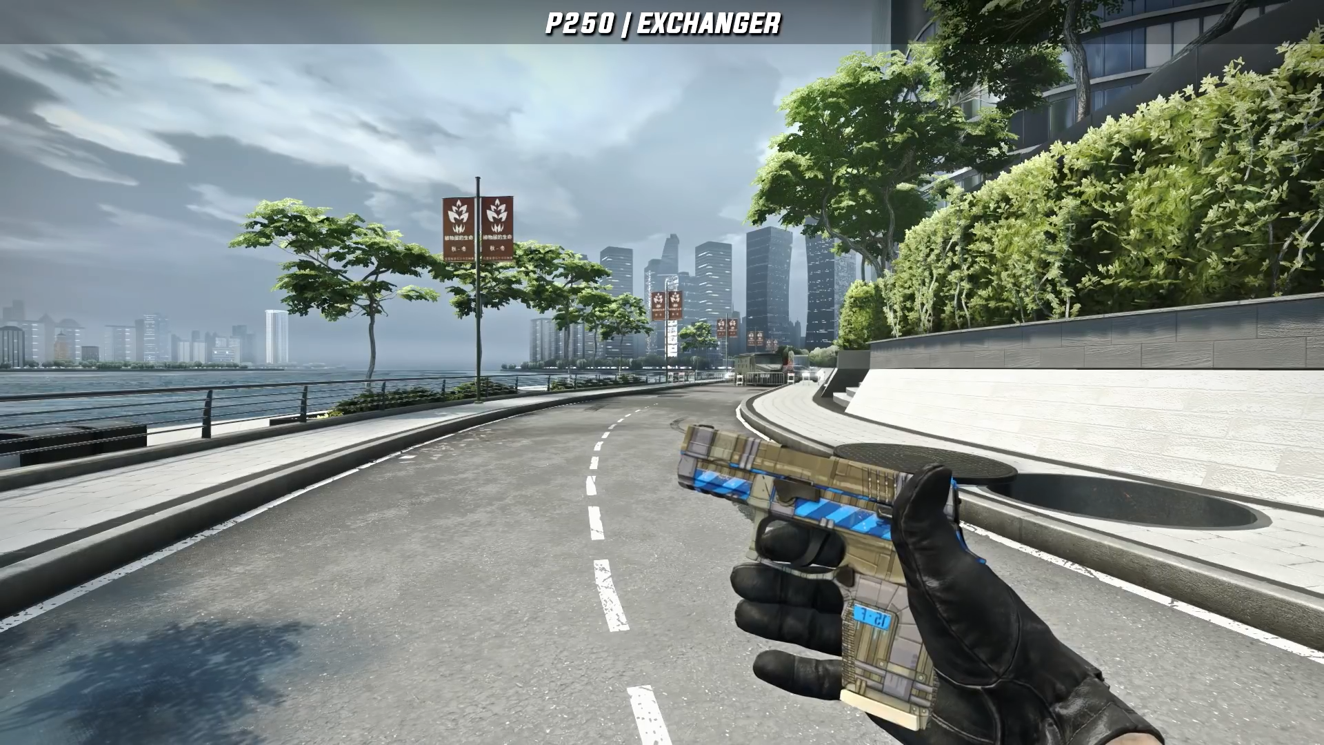 p250 2