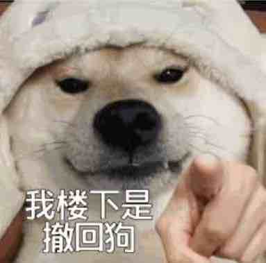 我楼下是撤回狗