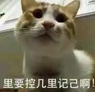 TIM截图20180817083916