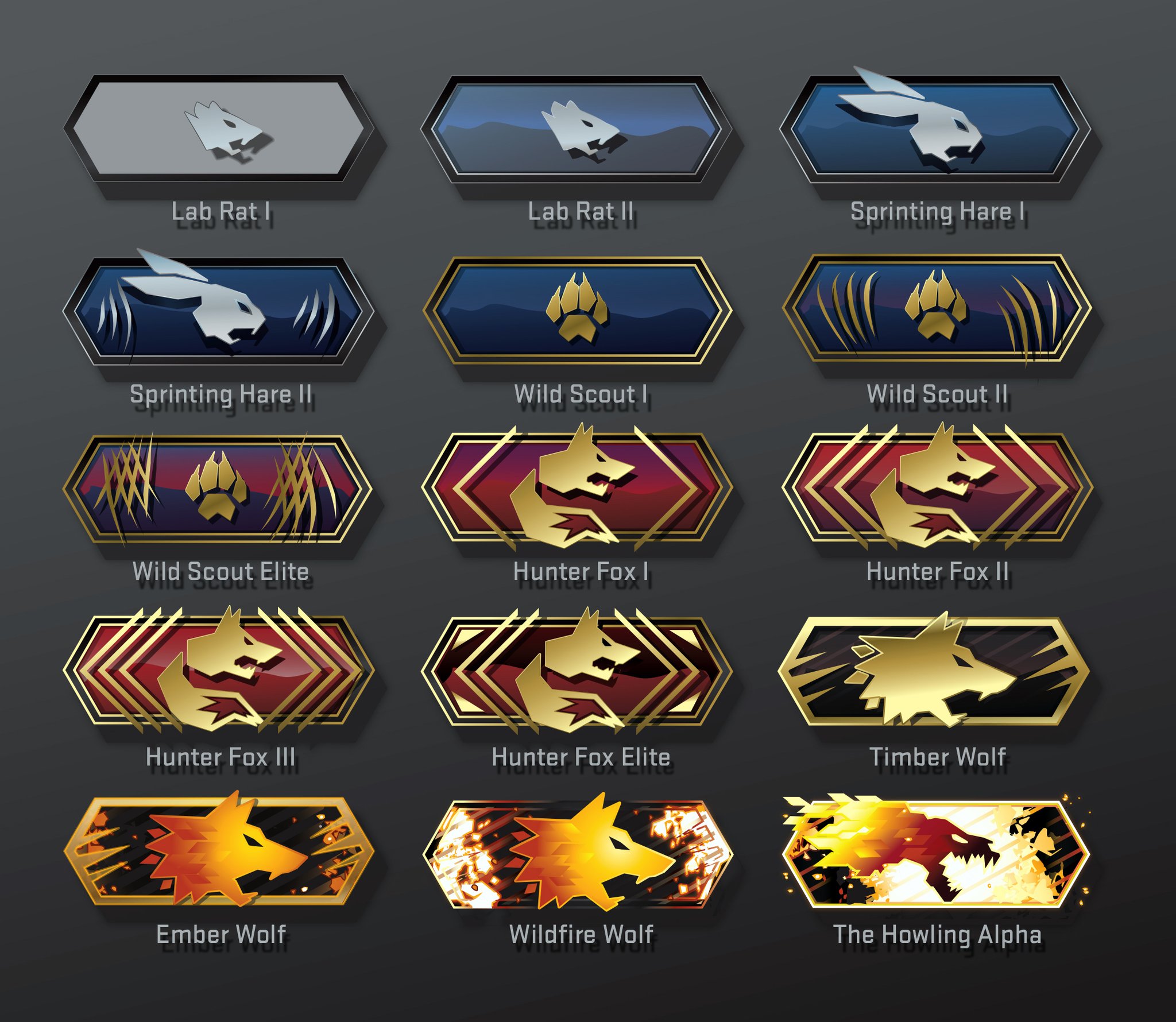 Csgo c5game 