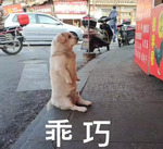 表情IMG_7797