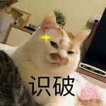 3ad191529822720e4cbe167c70cb0a46f31fabee_调整大小