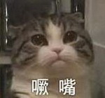 20181106510307_YCJusI