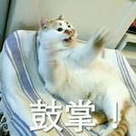 395d03087bf40ad1470933655c2c11dfa8ecce69