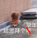 u=2604559467,2719182649&fm=173&app=49&f=JPEG