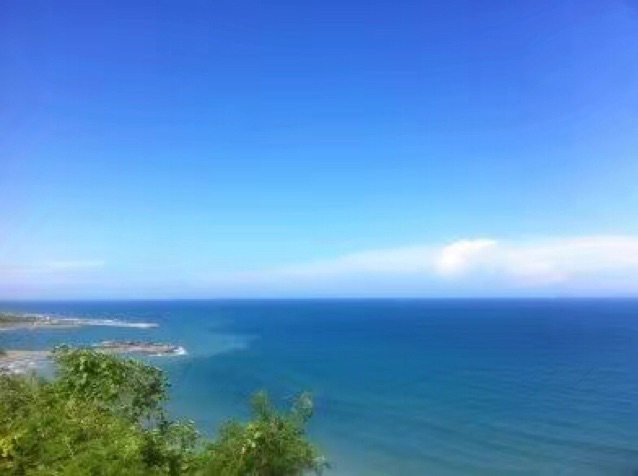 高育良