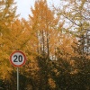 玩家d2c62937e131