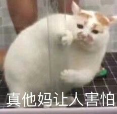v2-c0aa439fd1388b0ec157b67d3ac8c2c0_hd