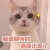 天下无双